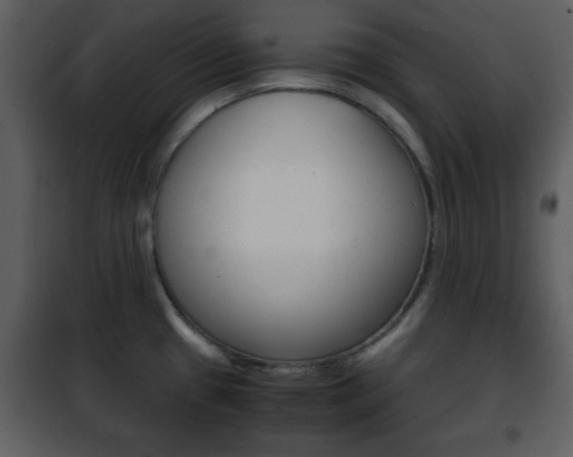 X0000101961433200807180652