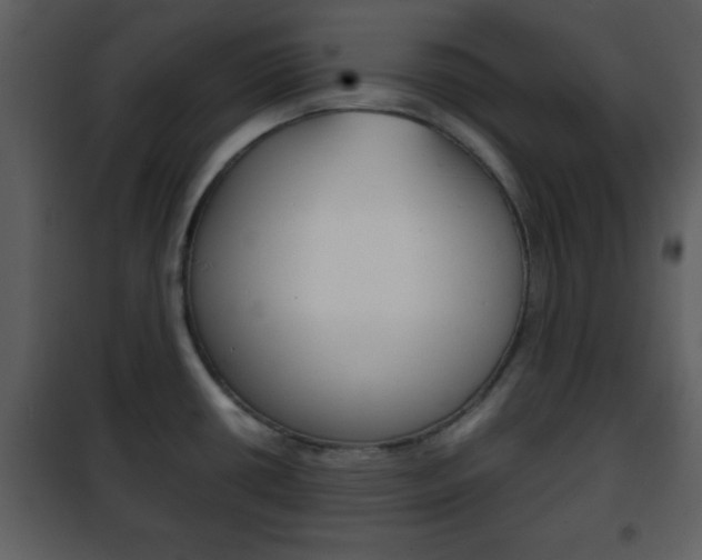 X0000101961434200807180652