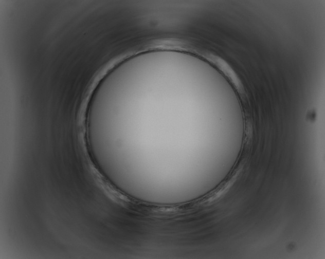 X0000101961435200807180652