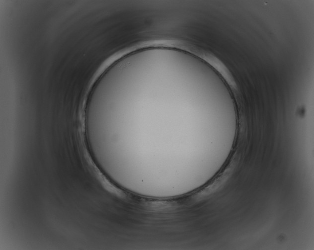 X0000101961436200807180652