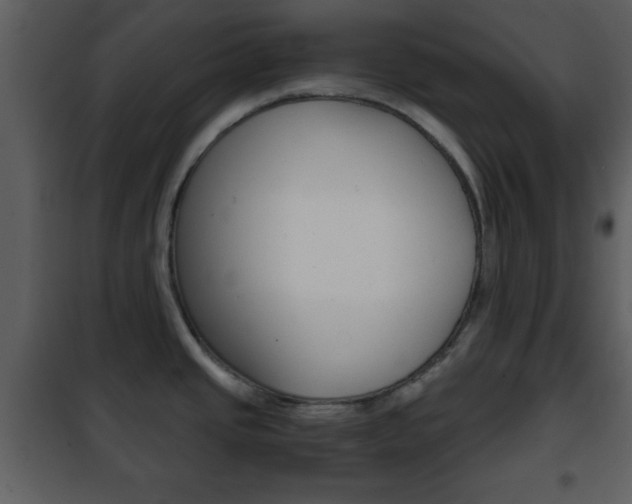X0000101961437200807180652
