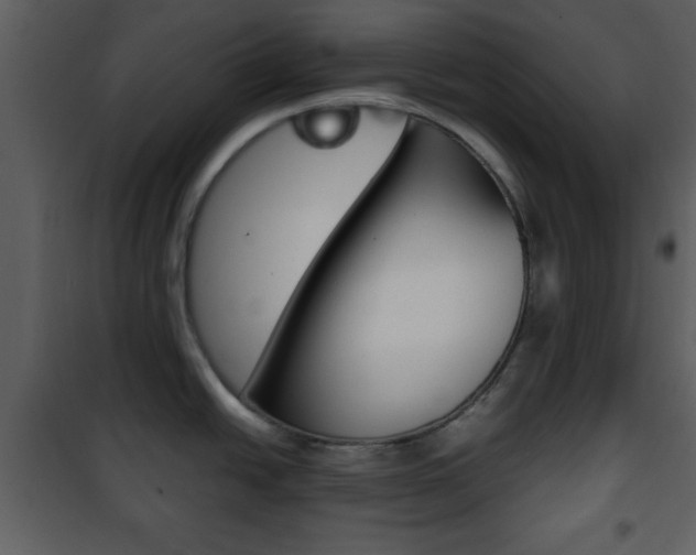 X0000101961438200807180652