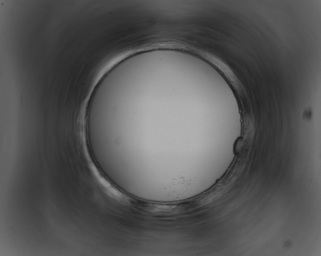 X0000101961439200807180652