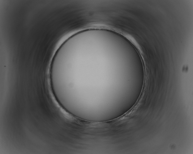 X0000101961440200807180652