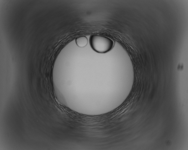 X0000101961441200807180651