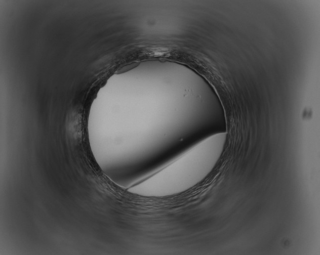 X0000101961442200807180651
