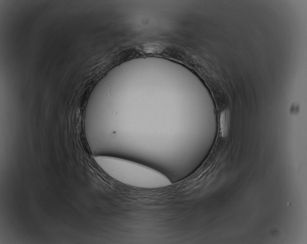 X0000101961443200807180651