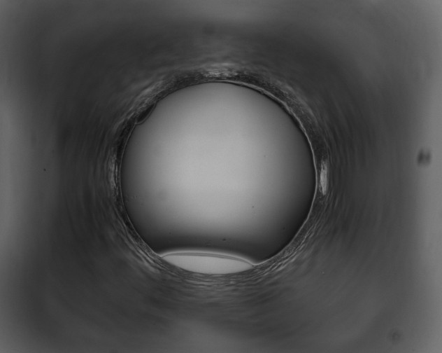 X0000101961444200807180651