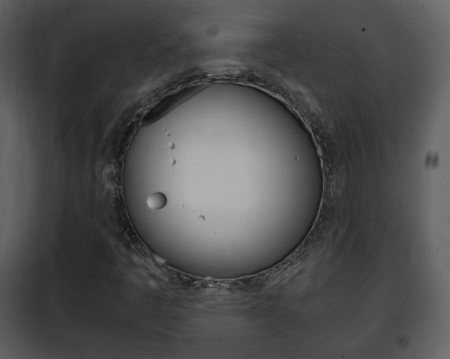 X0000101961445200807180651