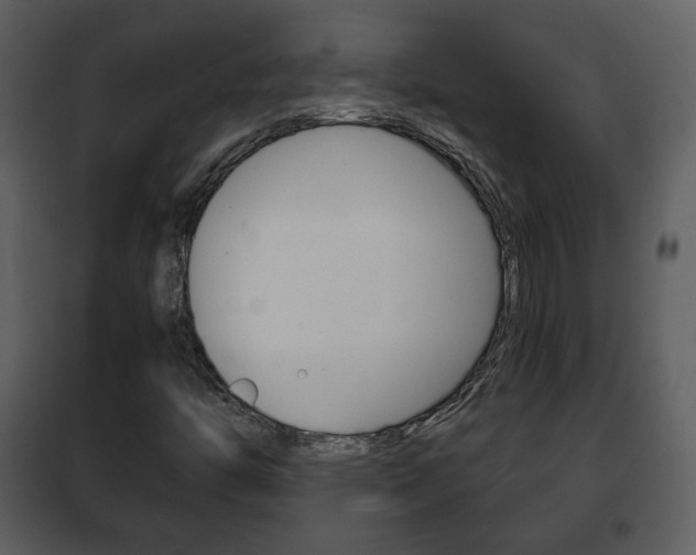 X0000101961446200807180651