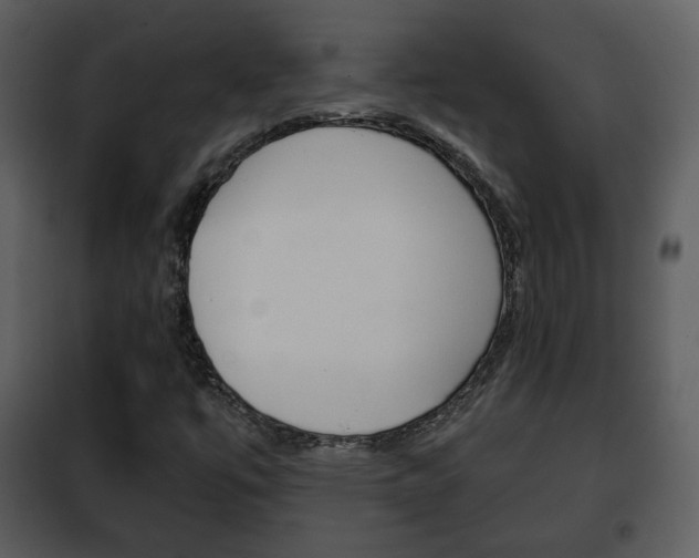 X0000101961447200807180651