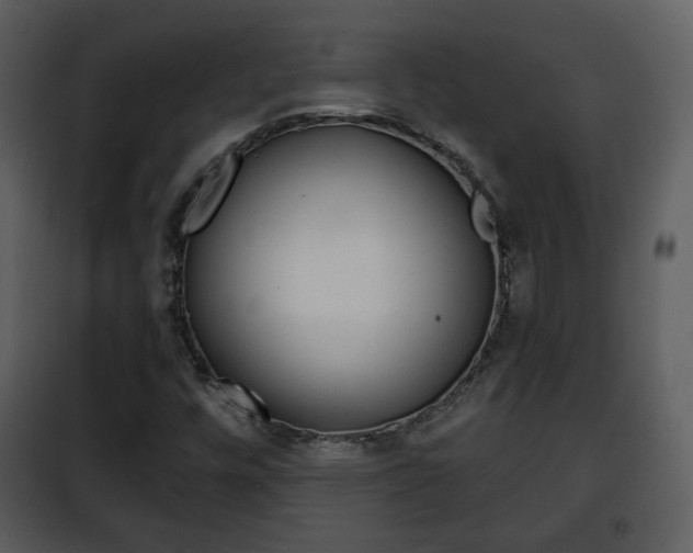 X0000101961448200807180651