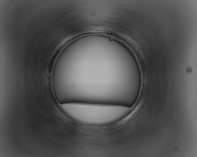 X0000101961449200807180651