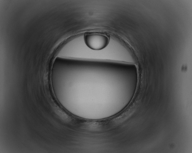 X0000101961450200807180651