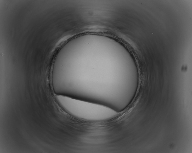 X0000101961451200807180651
