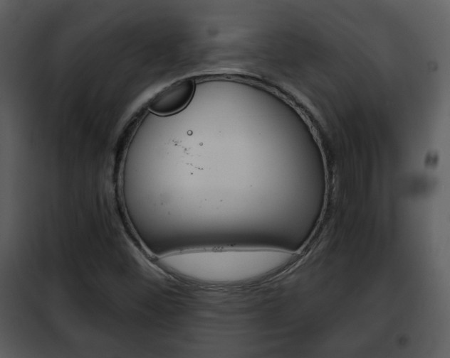 X0000101961452200807180651