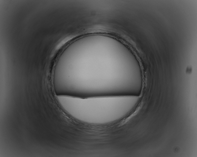 X0000101961453200807180651
