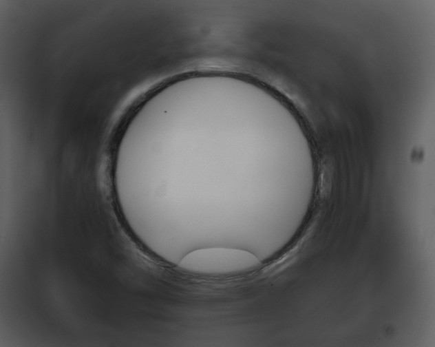 X0000101961454200807180651