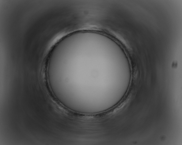 X0000101961455200807180651