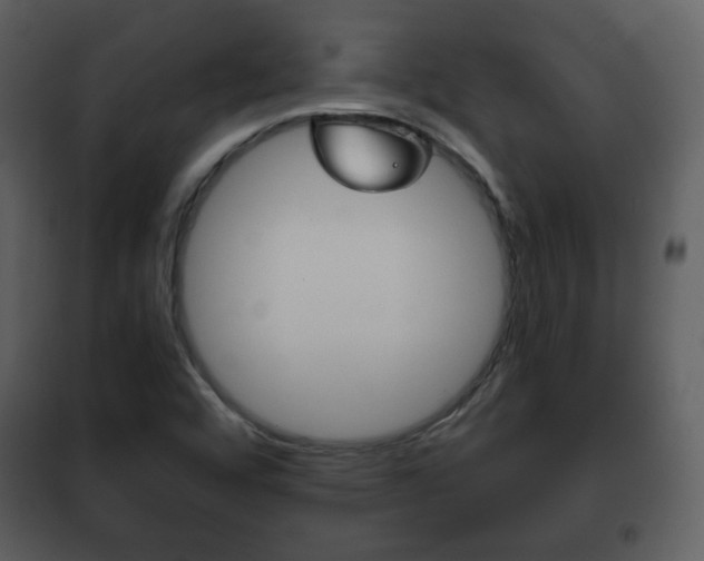 X0000101961456200807180651