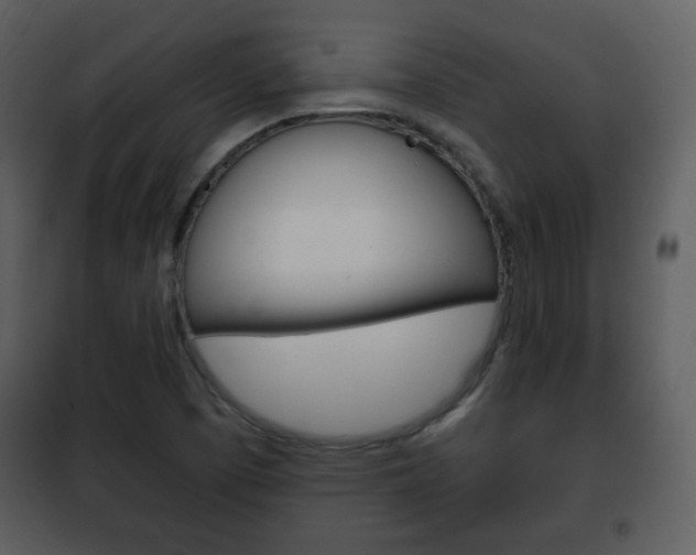 X0000101961457200807180651