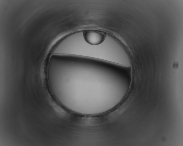 X0000101961458200807180651