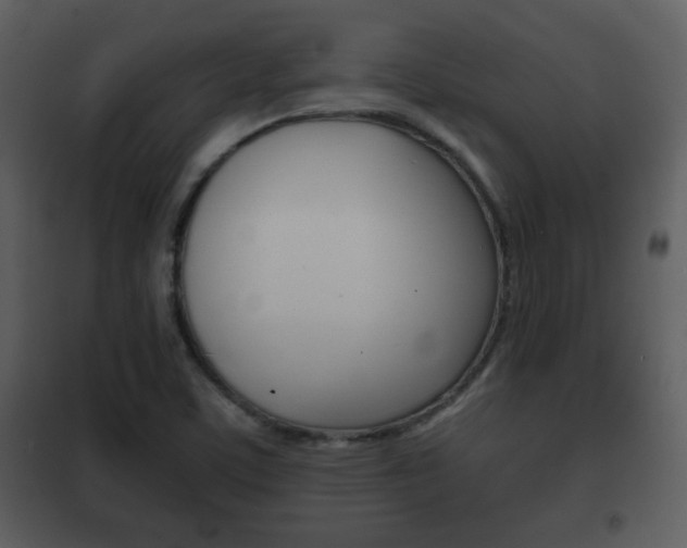 X0000101961459200807180651