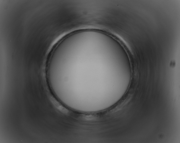 X0000101961460200807180651