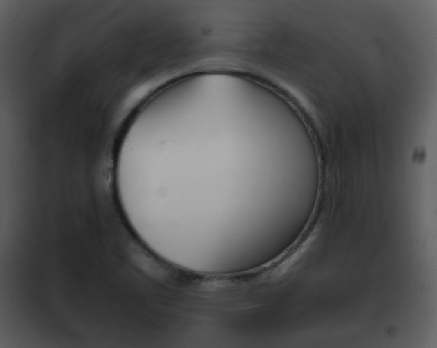 X0000101961461200807180651