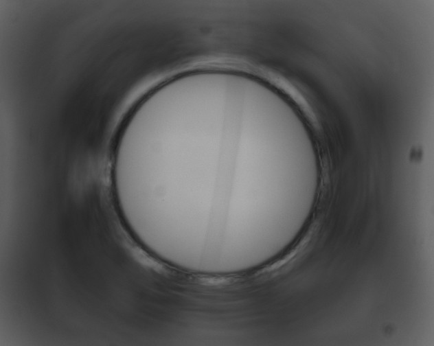 X0000101961462200807180651