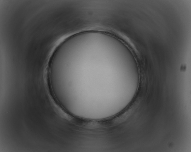 X0000101961463200807180651