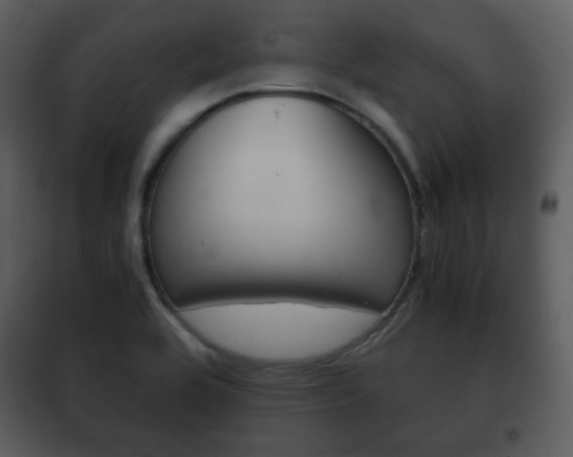 X0000101961464200807180651