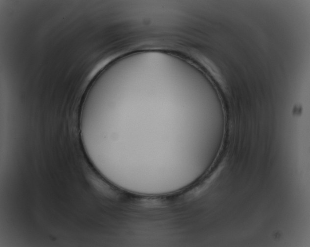 X0000101961465200807180651