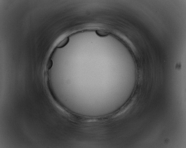X0000101961467200807180651