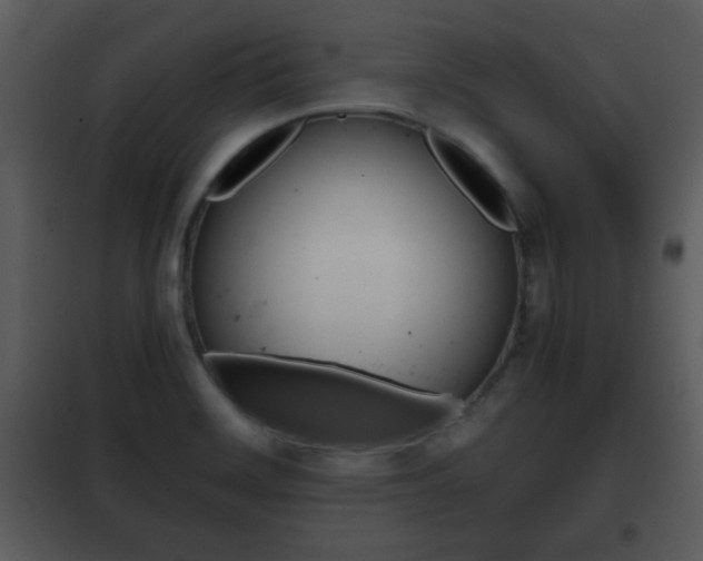 X0000101961468200807180651