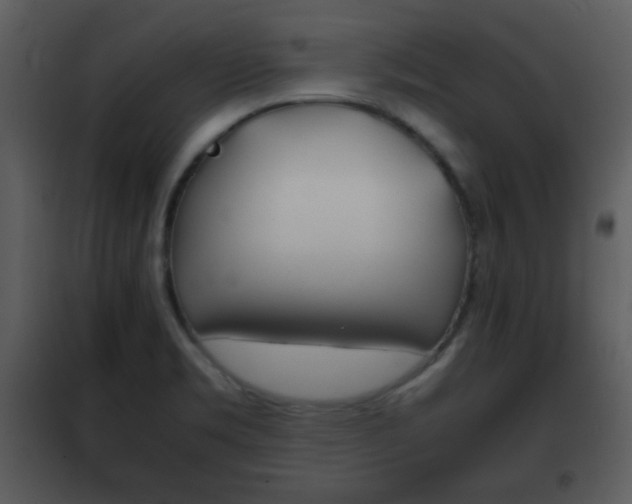 X0000101961469200807180651