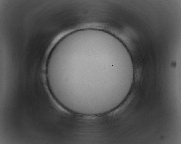 X0000101961470200807180651