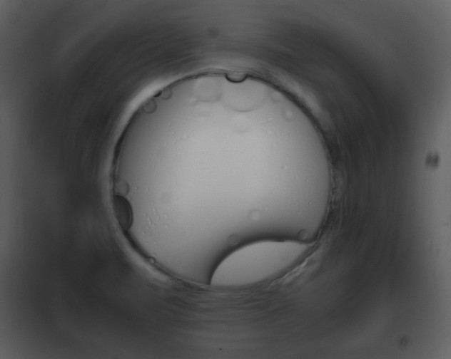 X0000101961471200807180651