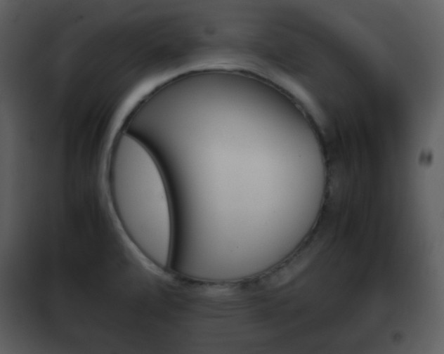 X0000101961472200807180651