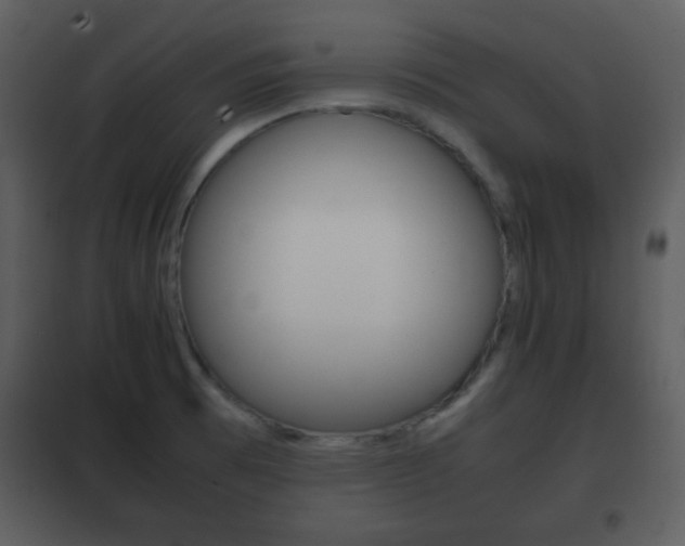 X0000101961473200807180651