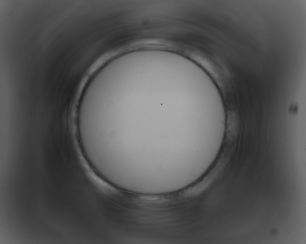 X0000101961474200807180651