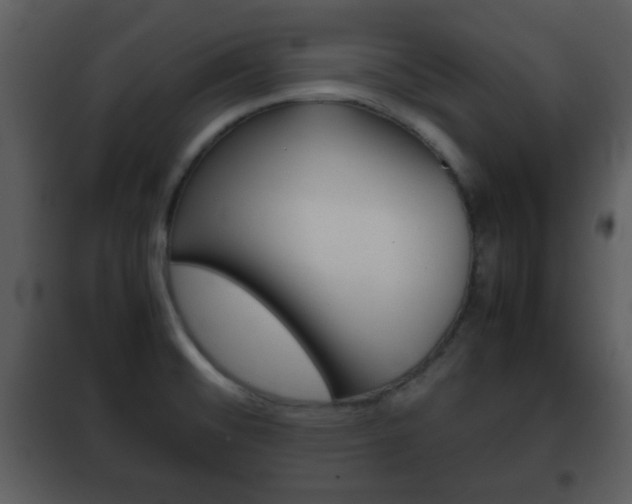 X0000101961476200807180651