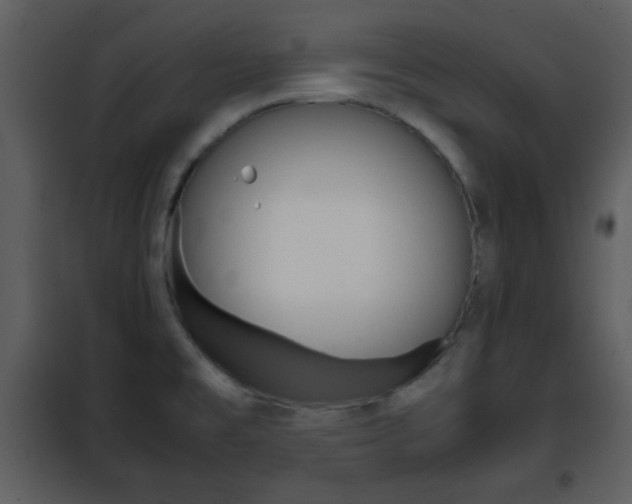 X0000101961477200807180651