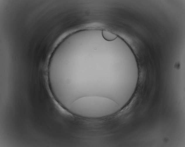 X0000101961478200807180651
