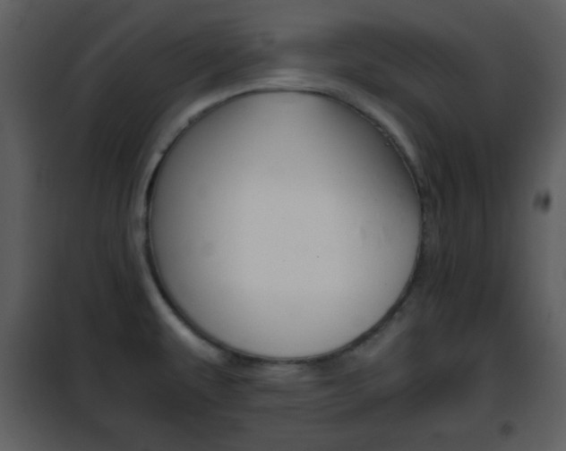 X0000101961479200807180651