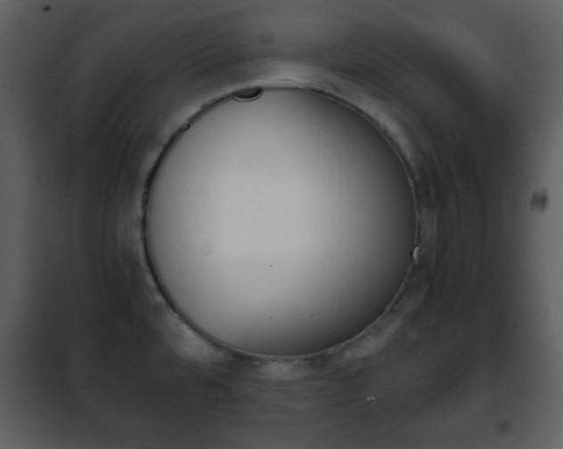 X0000101961480200807180650