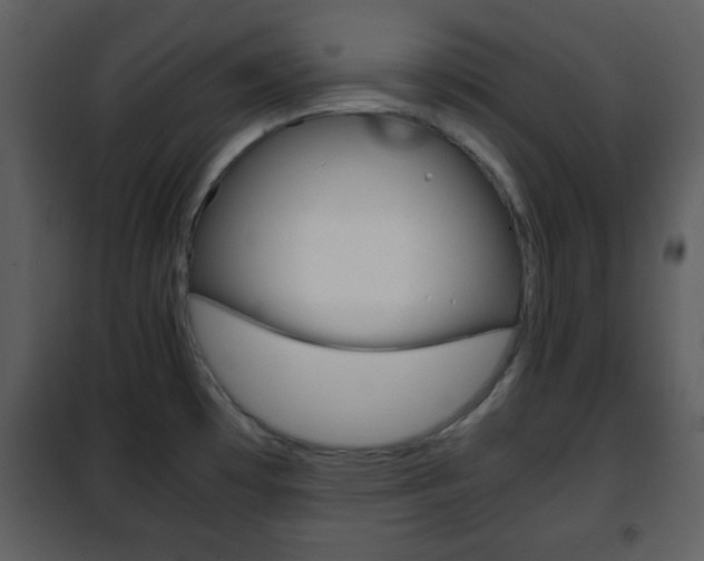 X0000101961481200807180650