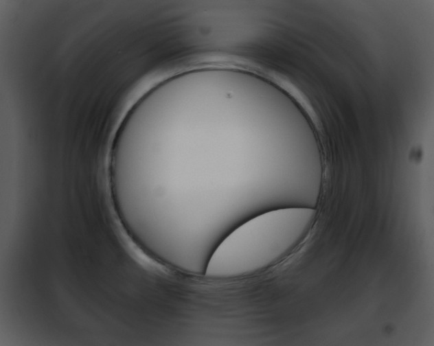 X0000101961482200807180650