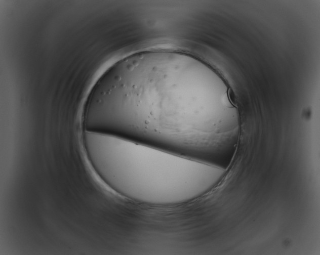 X0000101961483200807180650