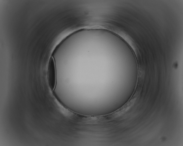 X0000101961485200807180650